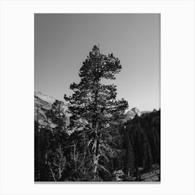 Olmsted Point Yosemite National Park Vi Canvas Print