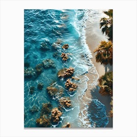 Aerial View Of A Beach Canvas Print