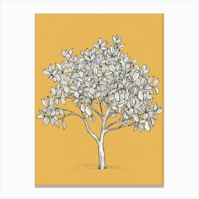 Pear Tree Minimalistic Drawing 2 Canvas Print