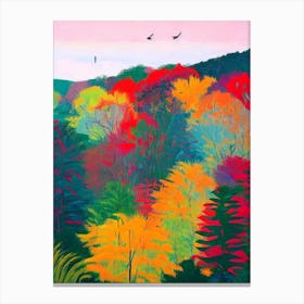 Taman Negara National Park 1 Malaysia Abstract Colourful Canvas Print
