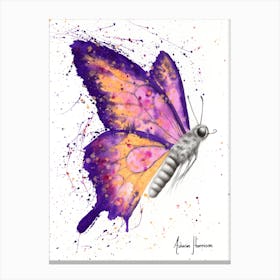 Venus Sunset Butterfly Canvas Print