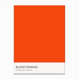 Blood Orange Colour Block Poster Canvas Print