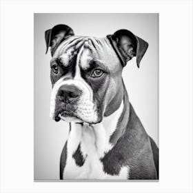 Boxer B&W Pencil dog Canvas Print
