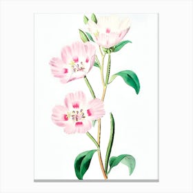 Pink Flowers 3 Canvas Print