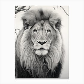 African Lion Realism Portrait 1 Canvas Print
