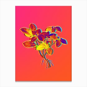 Neon American Wintergreen Plant Botanical in Hot Pink and Electric Blue n.0002 Canvas Print
