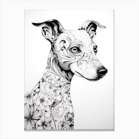 Whippet Dog, Line Drawing 4 Canvas Print
