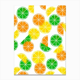 Lemons, Oranges and Limes Canvas Print