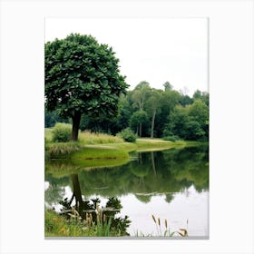 Tree In A Pond Canvas Print