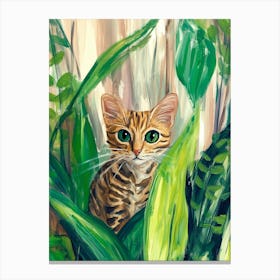 Bengal Cat 1 Canvas Print