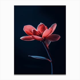 Red Flower Canvas Print