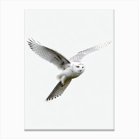 Snowy Owl B&W Pencil Drawing 1 Bird Canvas Print