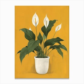 Peace Lily Canvas Print Canvas Print