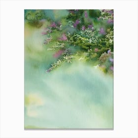 Acropora Austera Storybook Watercolour Canvas Print