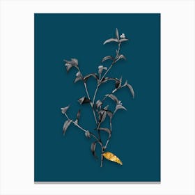 AAMVJ Vintage Commelina Africana Black and White Gold Leaf Floral Art on Teal Blue n.0611 Canvas Print
