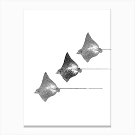 Spotted Eagle Ray Black and White Portrait Abstract Minimalist Boho Art Print Canvas Print