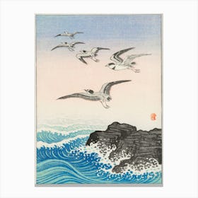 Five Seagulls Above The Sea (1900 1945), Ohara Koson Canvas Print