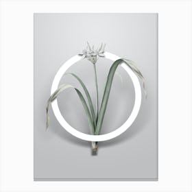 Vintage Small Flowered Pancratium Minimalist Flower Geometric Circle on Soft Gray n.0236 Canvas Print