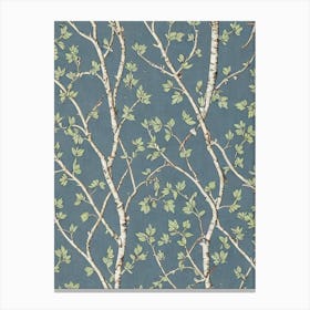 Gray Birch 2 tree Vintage Botanical Canvas Print