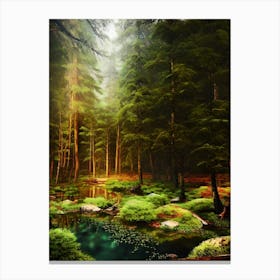 Mossy Forest 7 Canvas Print