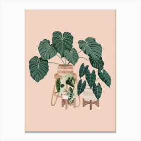 Philodendron Plants Canvas Print