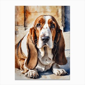 Basset Hound Canvas Print