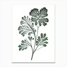 Parsley Herb William Morris Inspired Line Drawing 1 Canvas Print