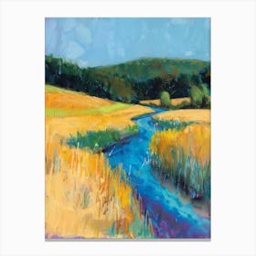 River In The Field Canvas Print