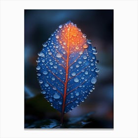 Blue Leaf With Water Droplets 16 Canvas Print