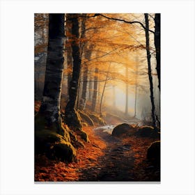 Autumn Forest 6 Canvas Print