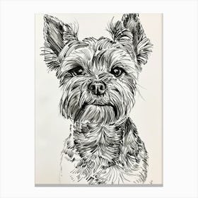Yorkshire Terrier Dog Line Sketch 1 Canvas Print