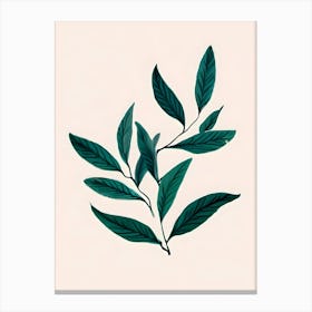 Green Tea Leaves Canvas Print