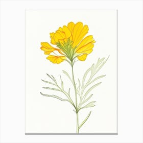 Marigold Leaf Illustration 2 Canvas Print