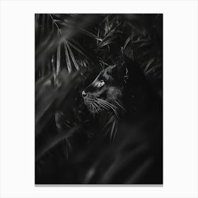 Black Cat In The Jungle.Generated AI. Wall Art Print Canvas Print