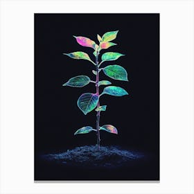 Plant Grows In The Dark 3 Canvas Print