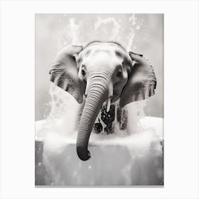 Elephant In The Bath 2 Canvas Print