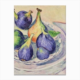 Fig Vintage Sketch Fruit Canvas Print