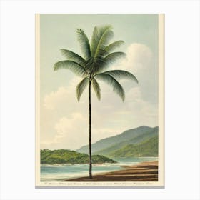 Maracas Bay Trinidad And Tobago Vintage Canvas Print