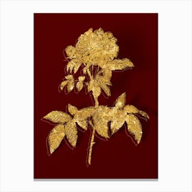 Vintage Provins Rose Botanical in Gold on Red n.0217 Canvas Print