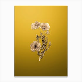 Gold Botanical Long Stalked Ledocarpum on Mango Yellow n.3207 Canvas Print