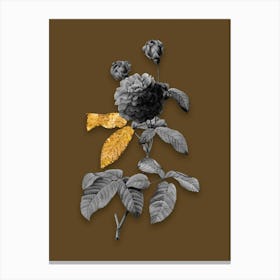 Vintage Agatha Rose in Bloom Black and White Gold Leaf Floral Art on Coffee Brown n.0809 Canvas Print