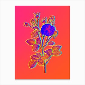 Neon Pink Agatha Rose Botanical in Hot Pink and Electric Blue n.0054 Canvas Print