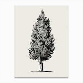 Cypress Tree Minimalistic Drawing 3 Canvas Print