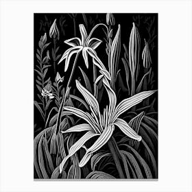 Trout Lily Wildflower Linocut 2 Canvas Print