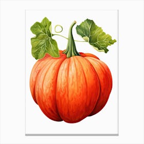 Red Kuri Squash Pumpkin Watercolour Illustration 4 Canvas Print
