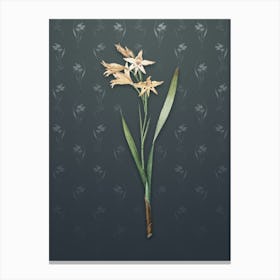 Vintage Gladiolus Cuspidatus Botanical on Slate Gray Pattern n.0875 Canvas Print