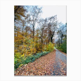 Autumn Road In The Forest Canvas Print