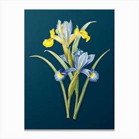 Vintage Spanish Iris Botanical Art on Teal Blue n.0722 Canvas Print