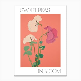 Sweet Peas In Bloom Flowers Bold Illustration 2 Canvas Print
