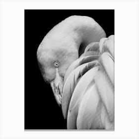 Flamingos Black and White Line Art Canvas Print